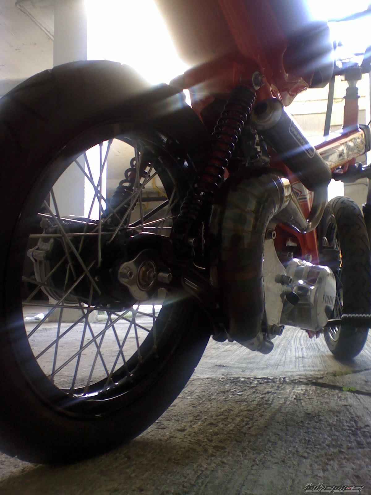 Photo 1423633