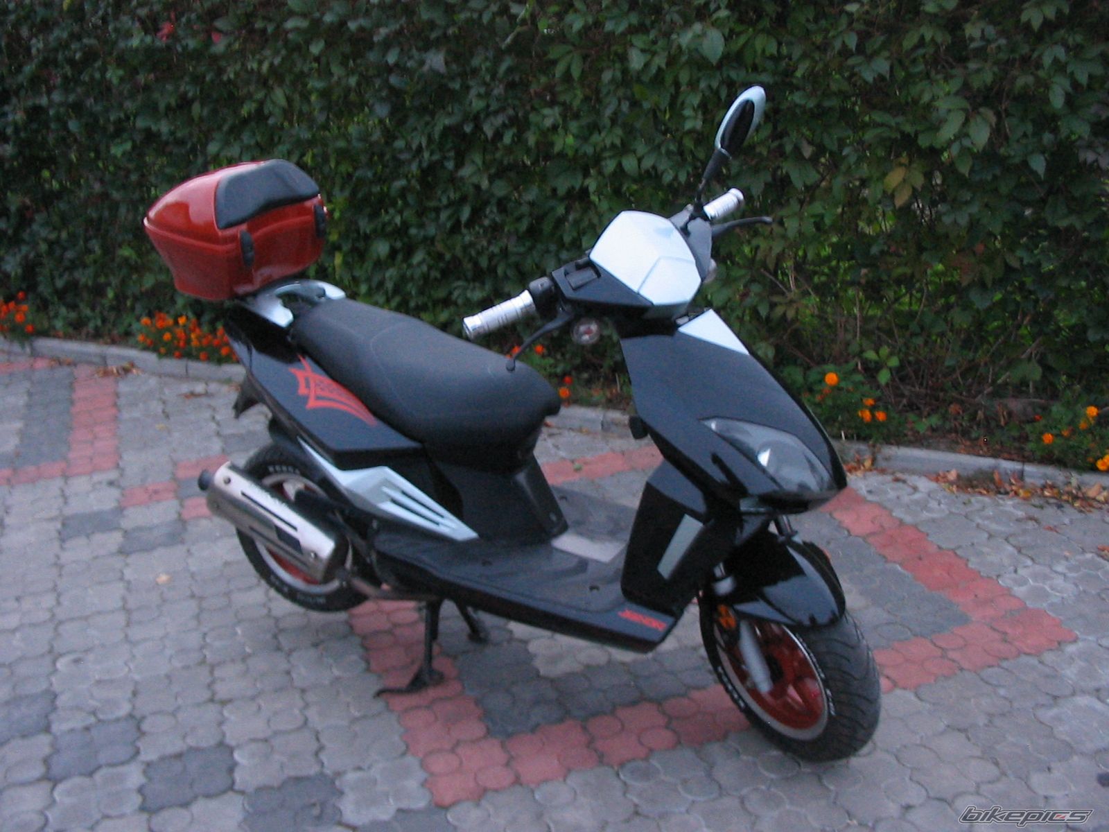 Photo 1423694