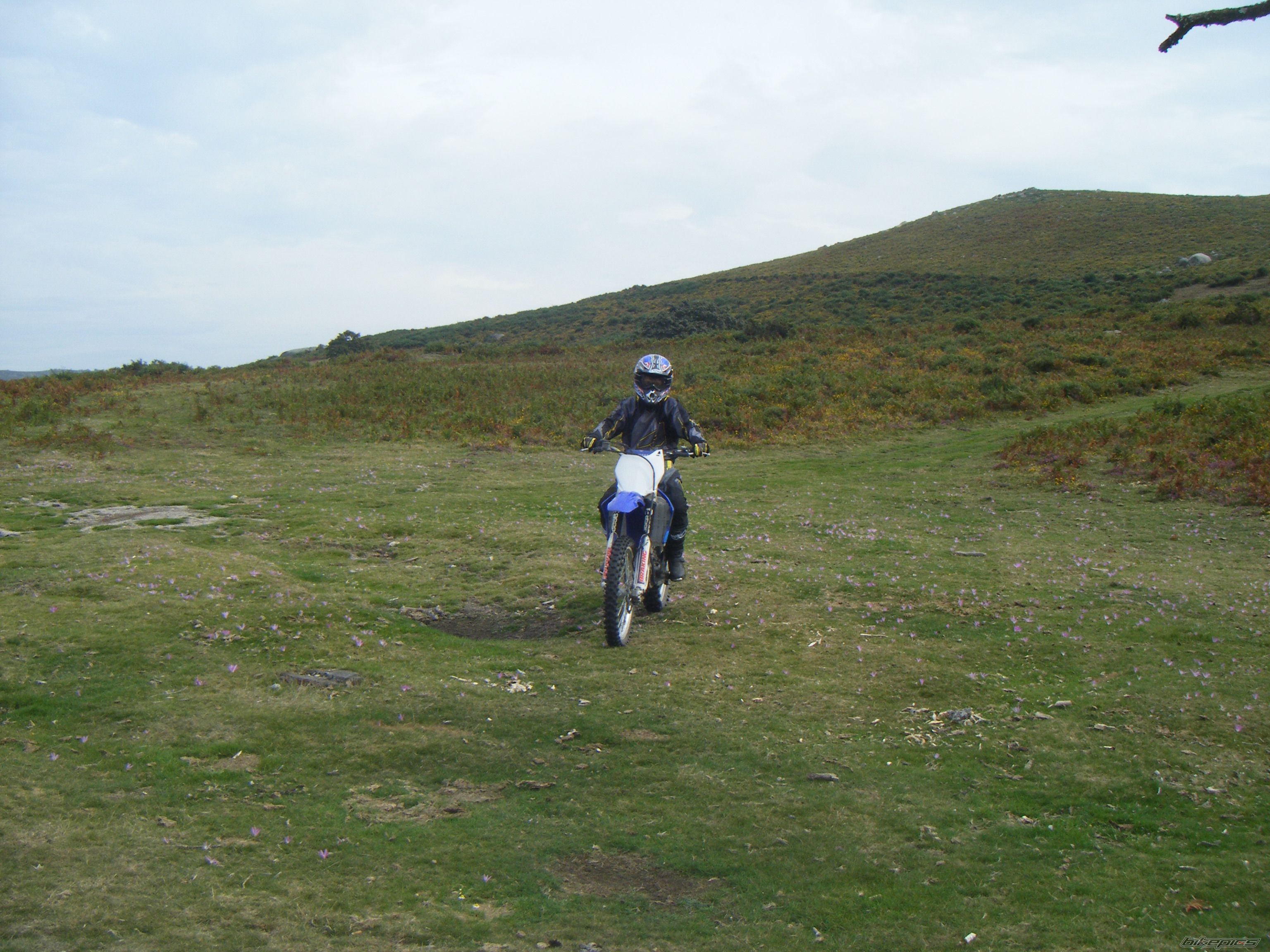 Photo 1423741