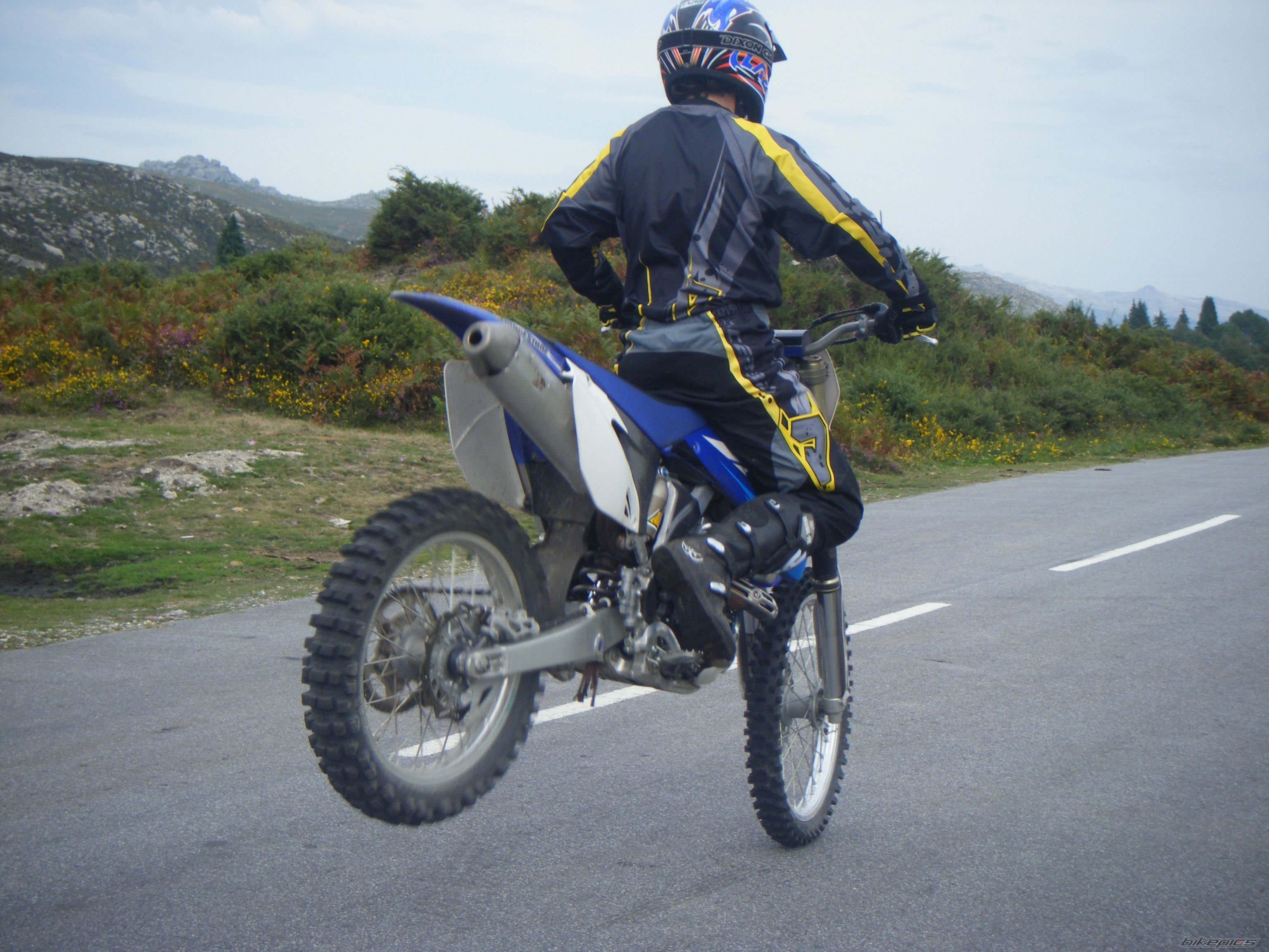 Photo 1423742