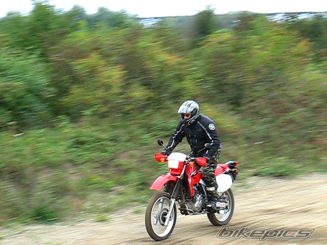Photo 1423813