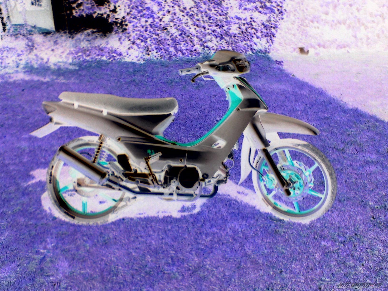 Photo 1423832