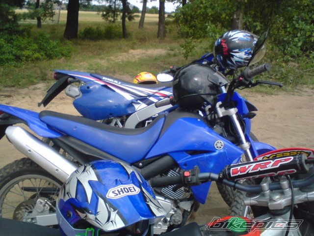 Photo 1423855