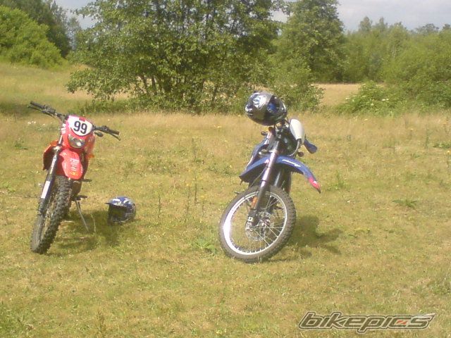 Photo 1423856