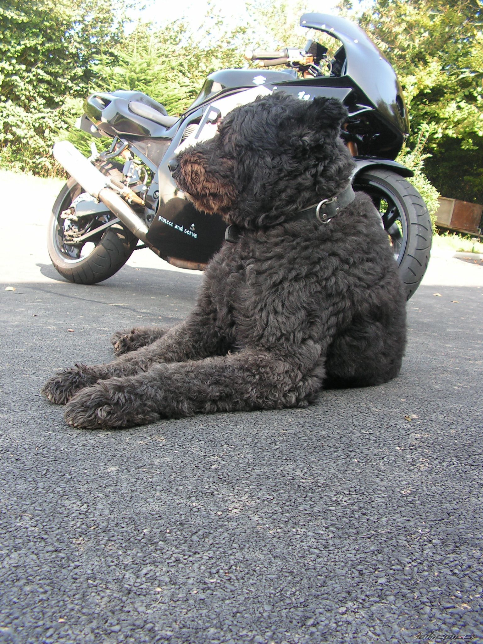 Photo 1423892
