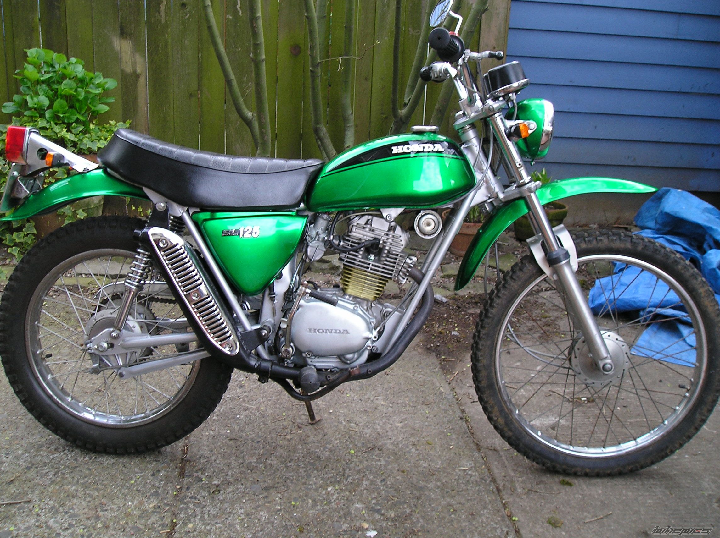 Photo 1423960