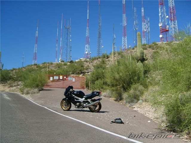 Photo 1424003