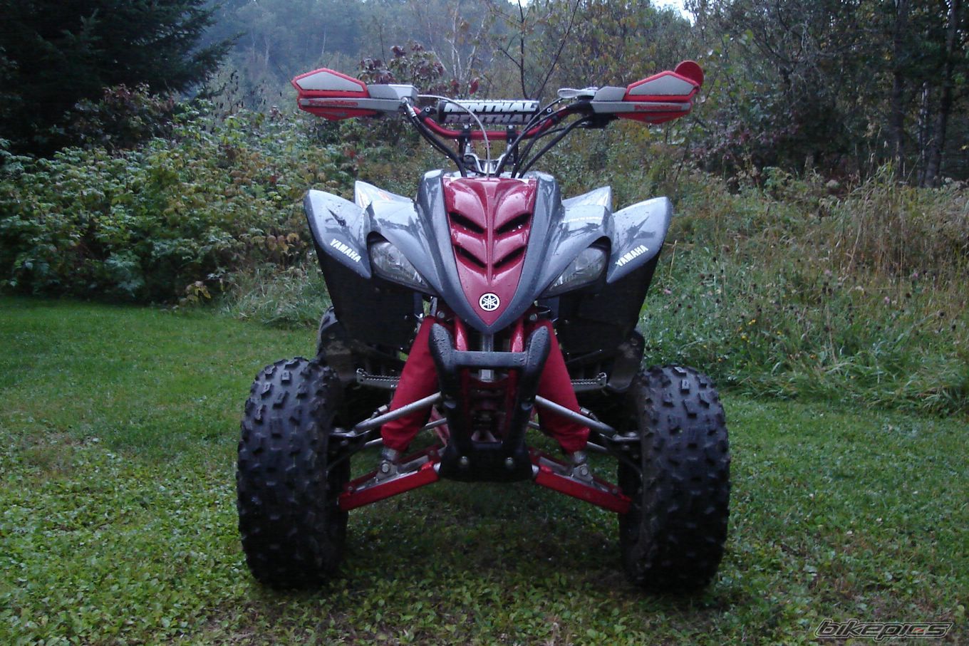 Photo 1424036