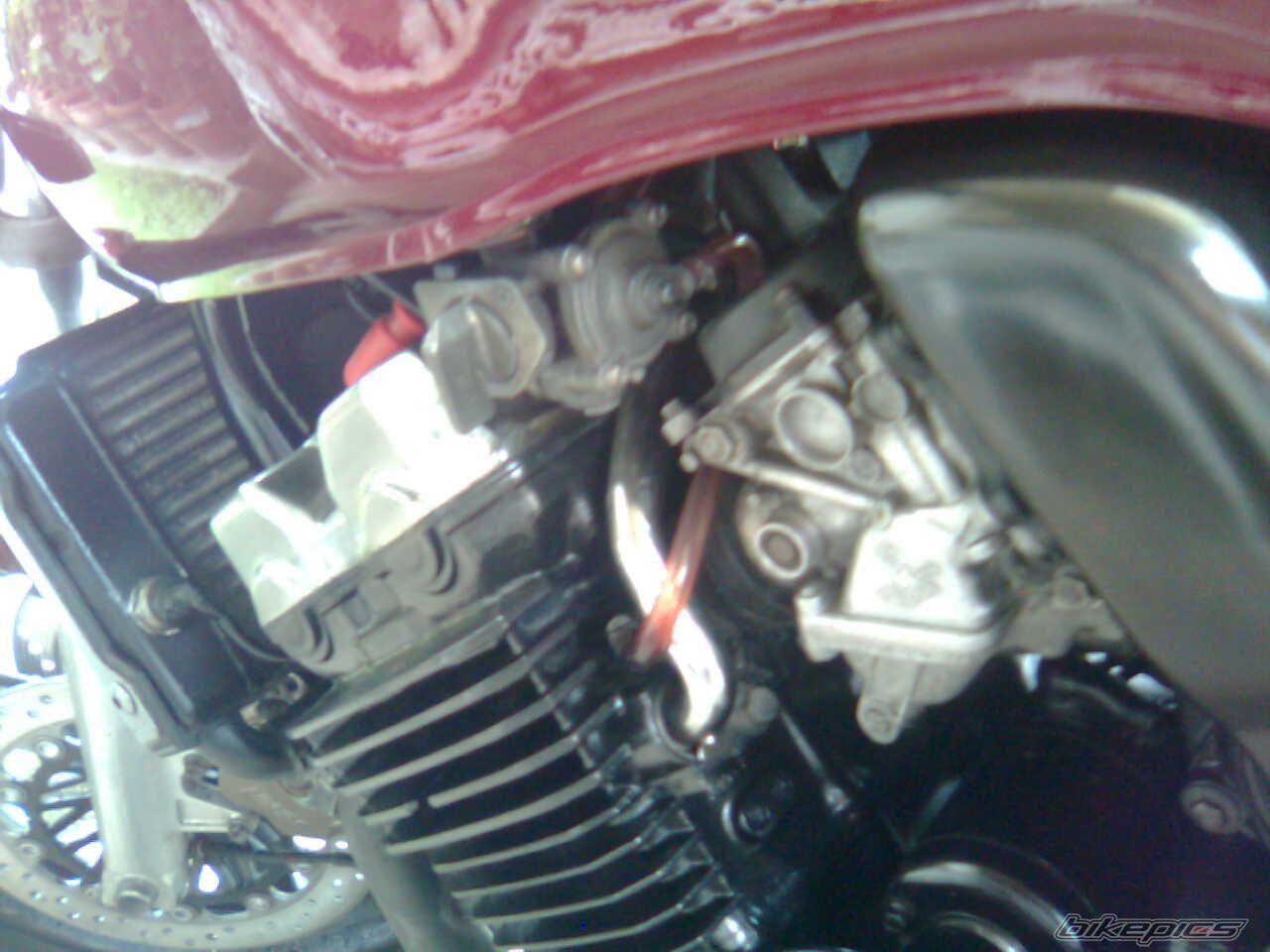 Photo 1424039