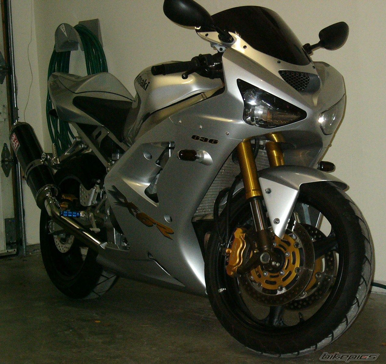 Photo 1424079