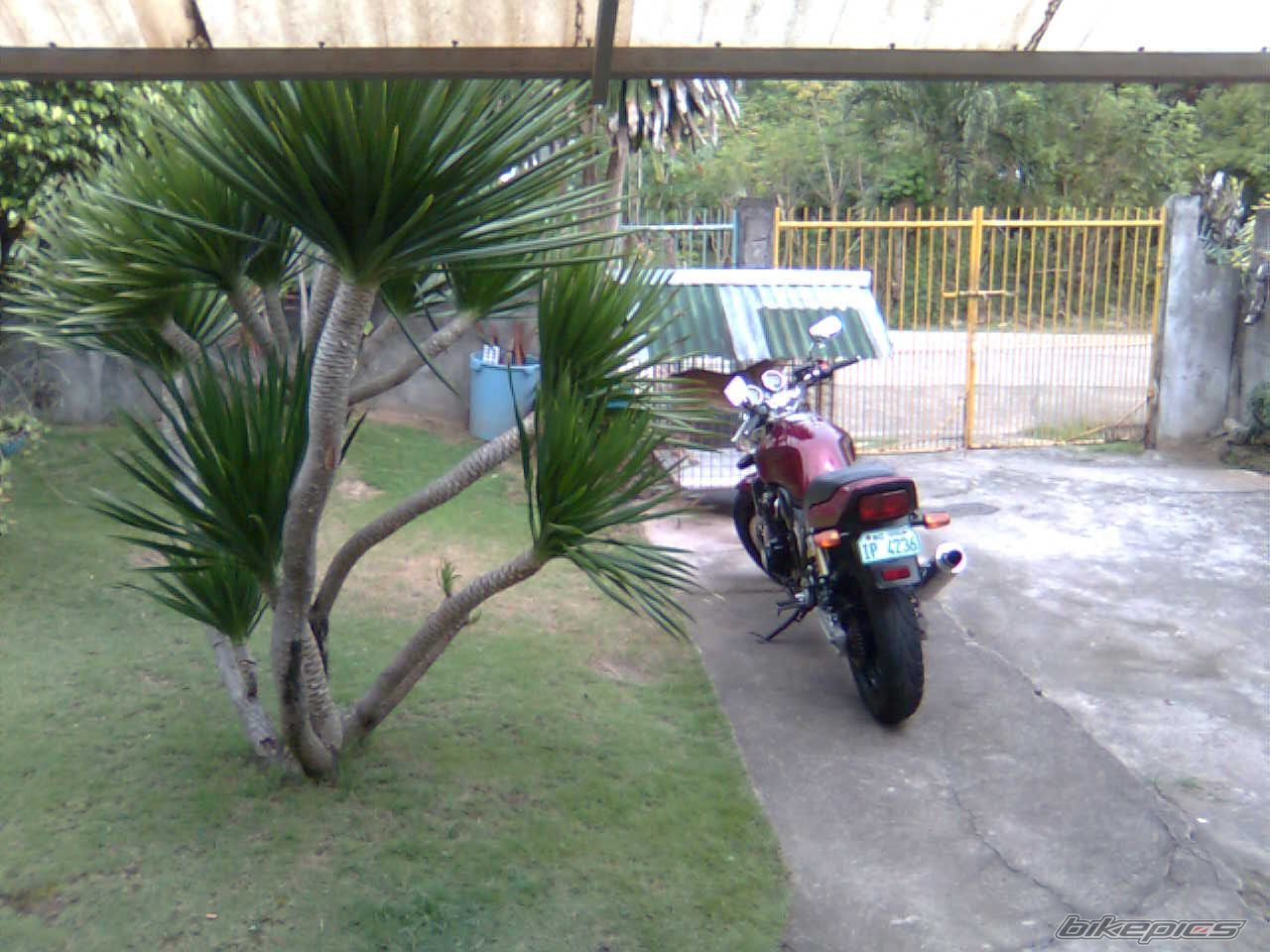 Photo 1424116