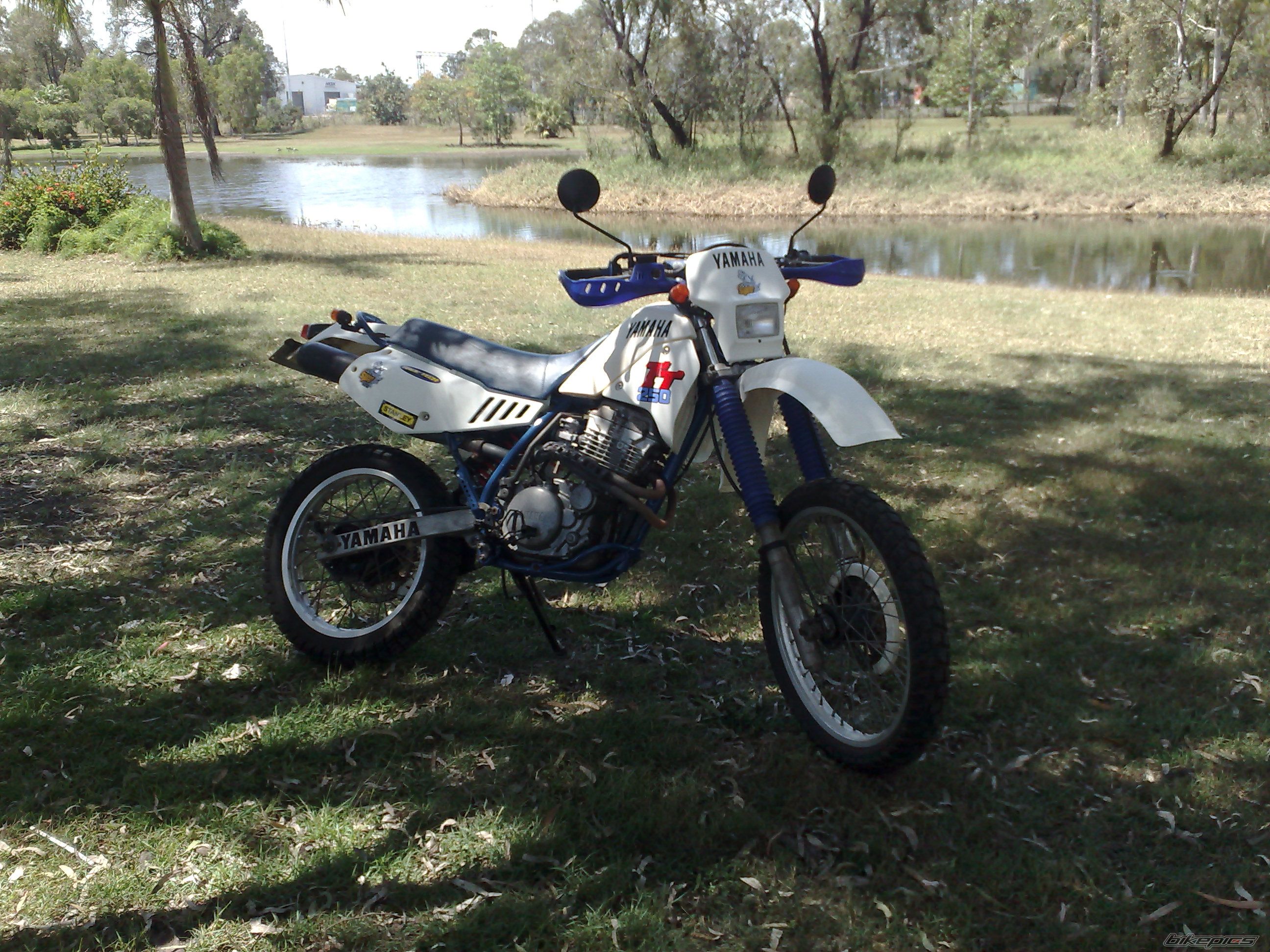Photo 1424126