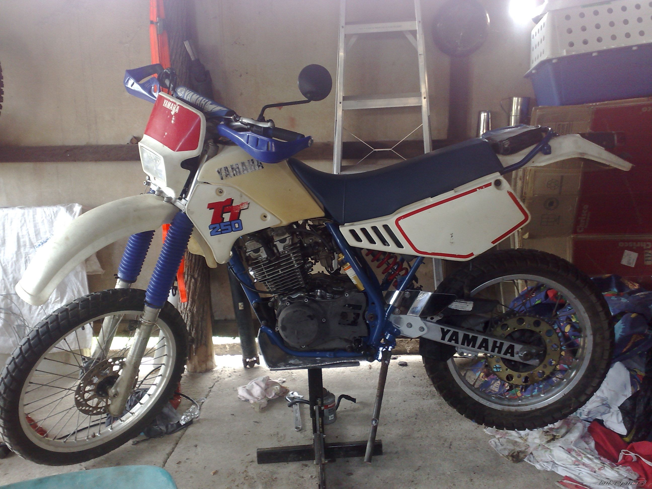 Photo 1424129