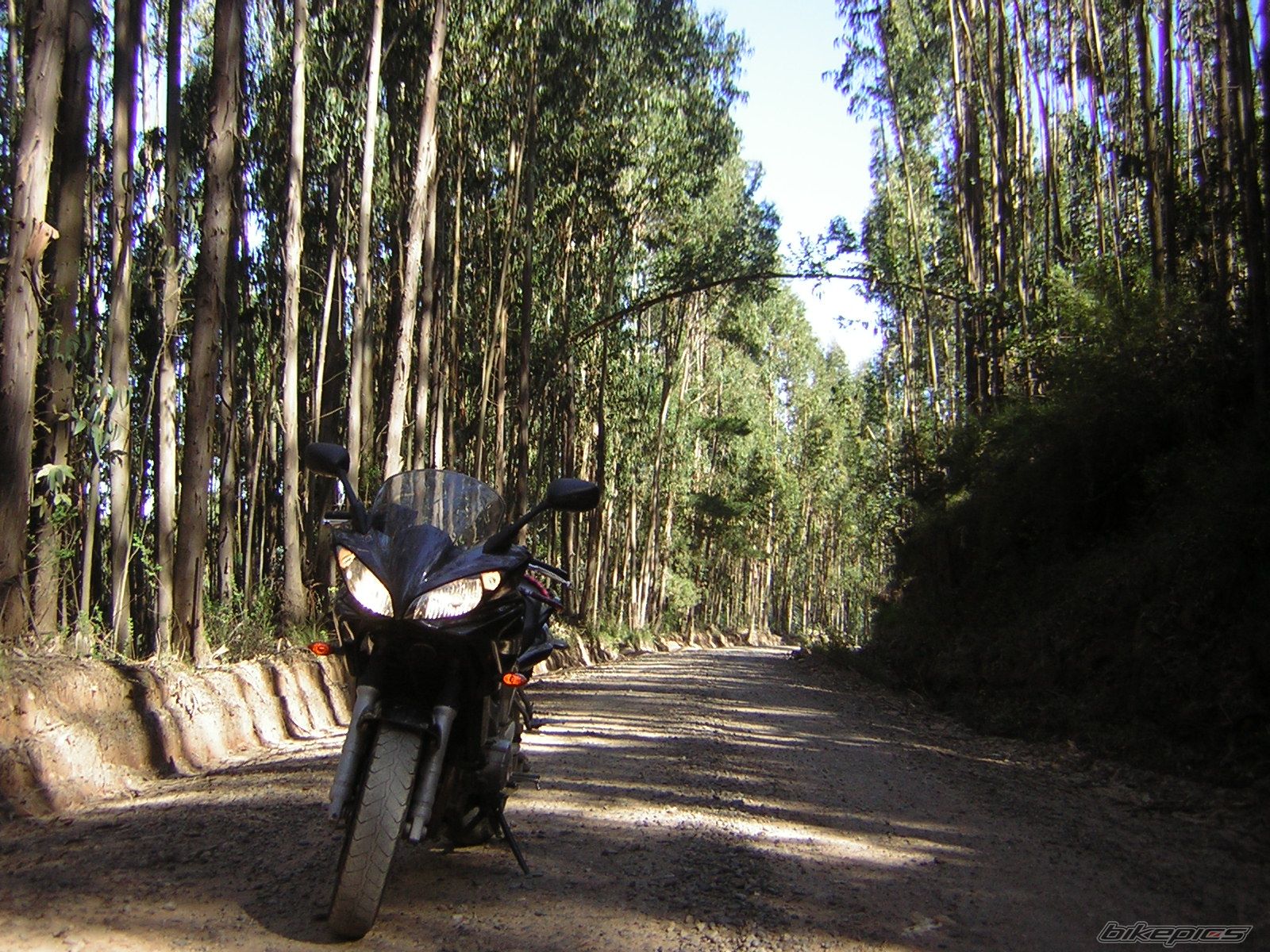 Bike Photo 1424139