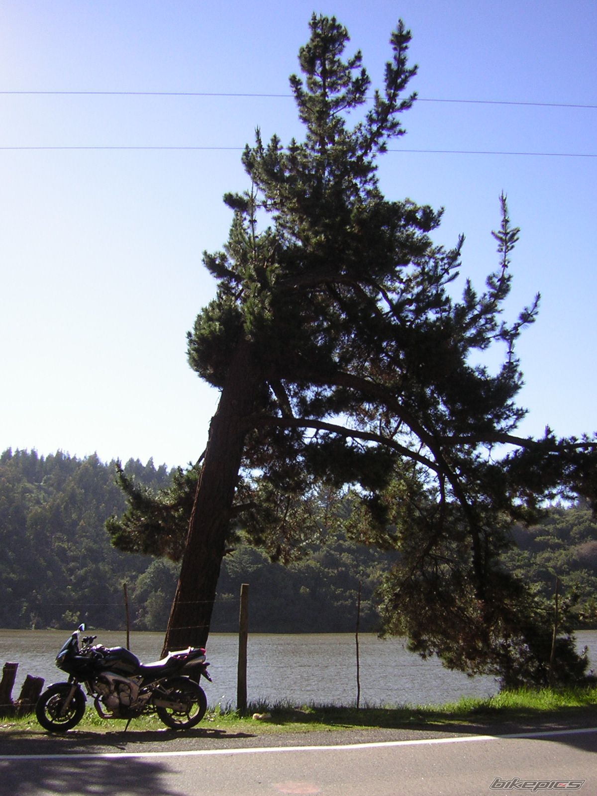 Photo 1424140
