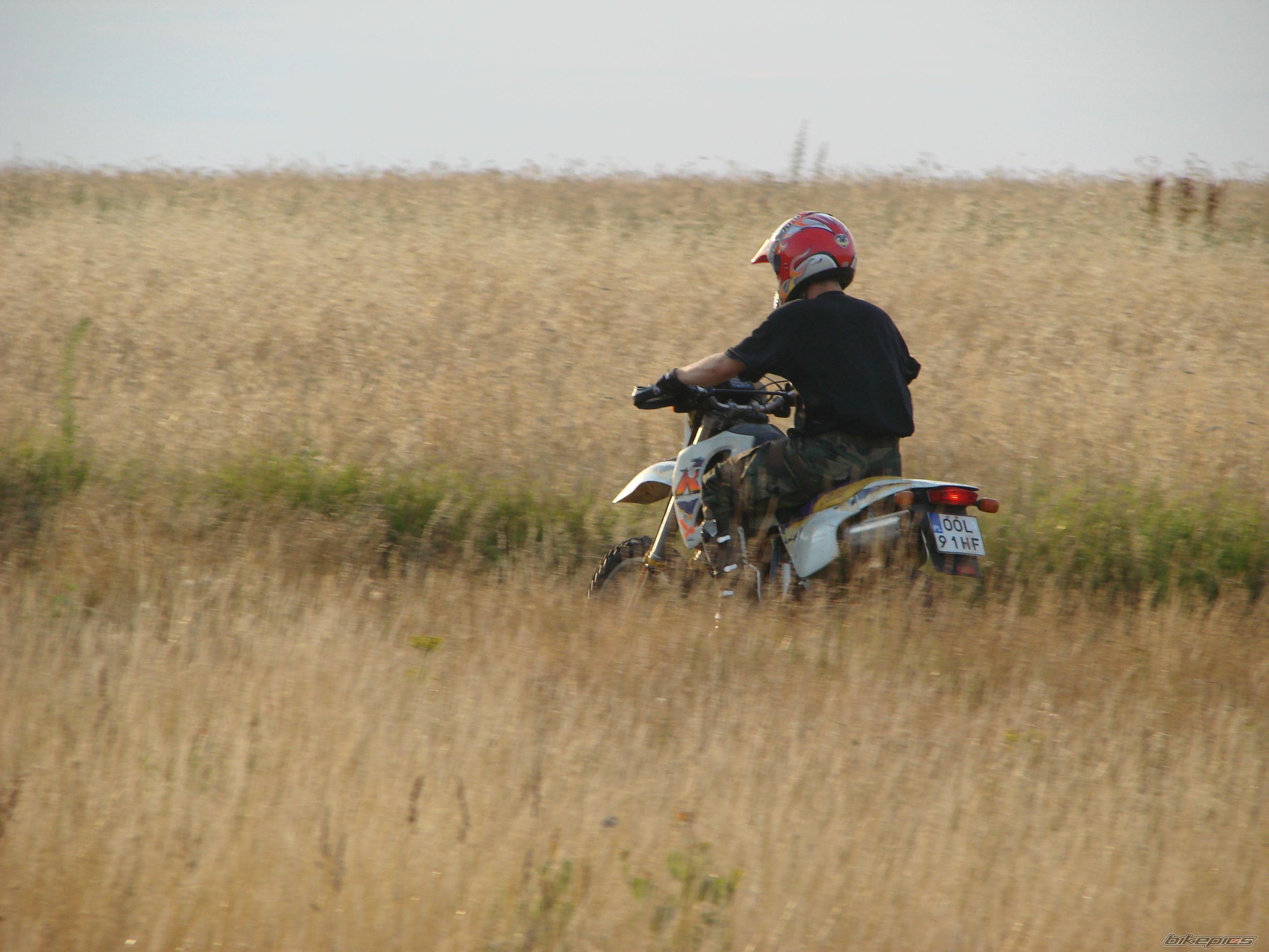 Photo 1424199