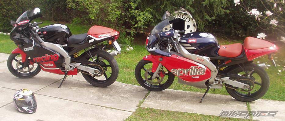 Photo 142421