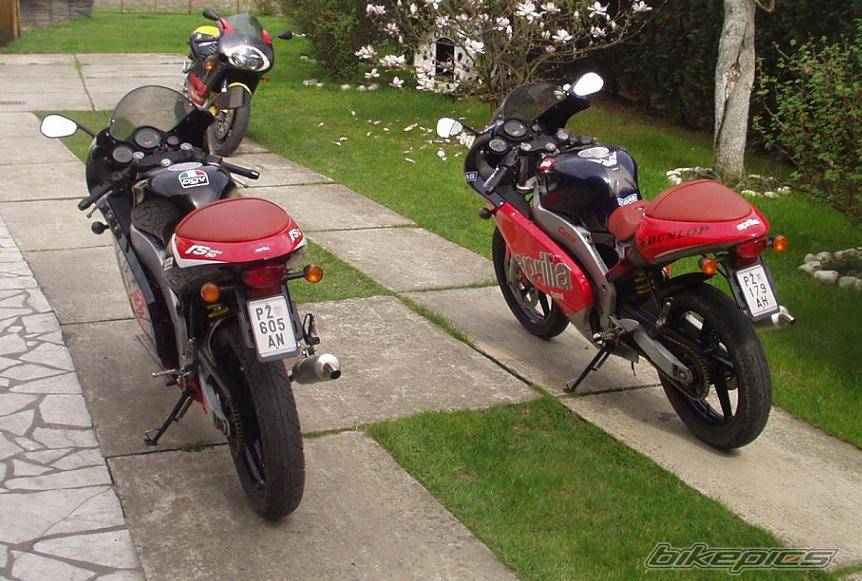 Photo 142424