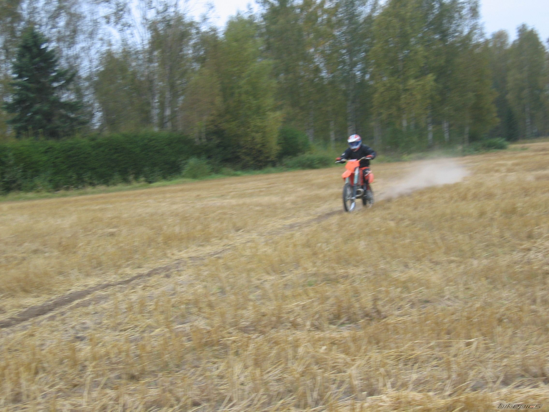 Photo 1424413