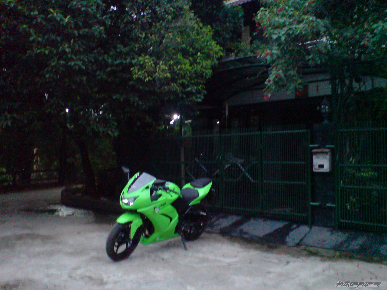 Photo 1424421