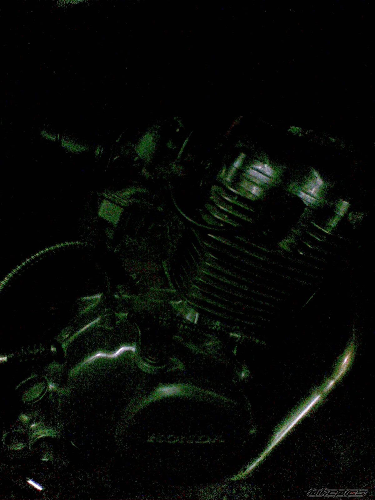 Photo 1424436