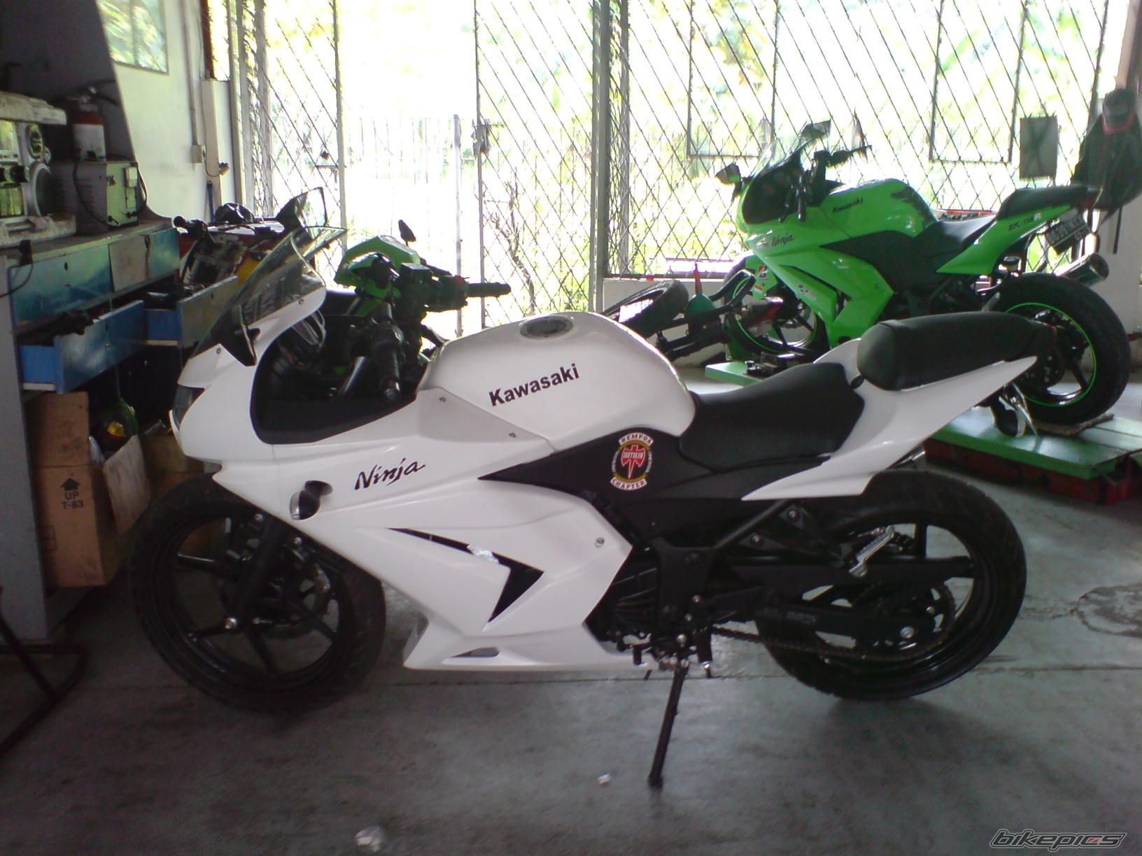 Photo 1424449