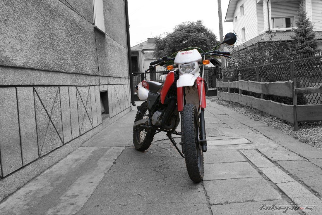 Photo 1424454