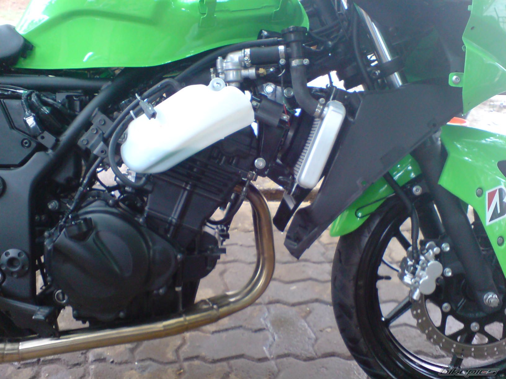 Photo 1424475