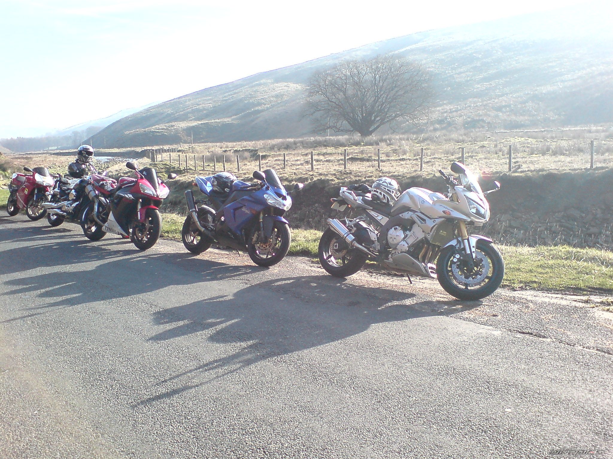 Photo 1424553