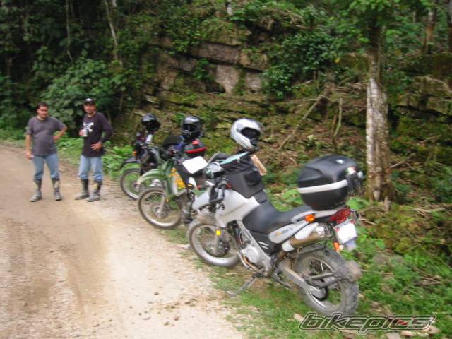 Photo 142471