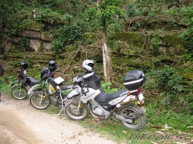 Photo 142472