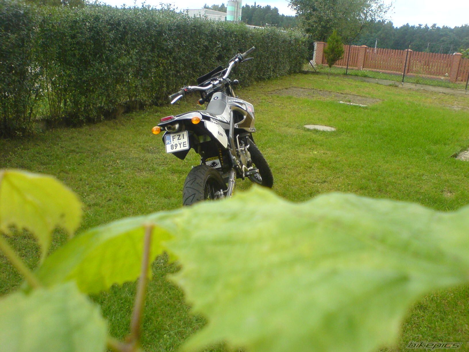 Photo 1424730