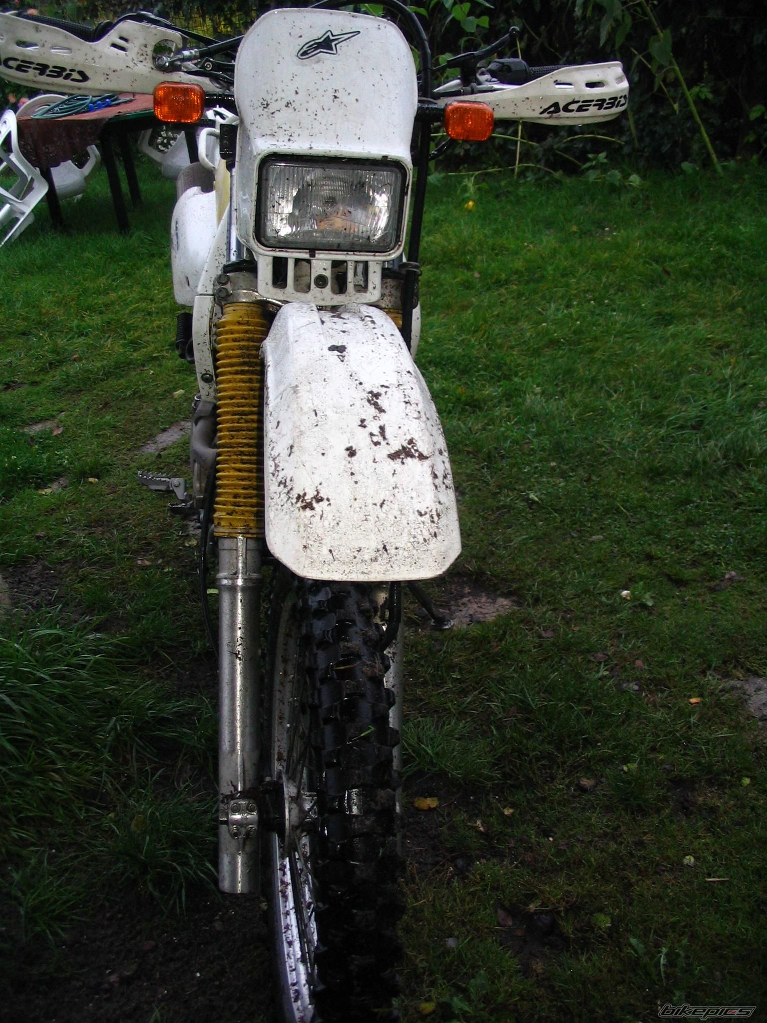 Photo 1424748