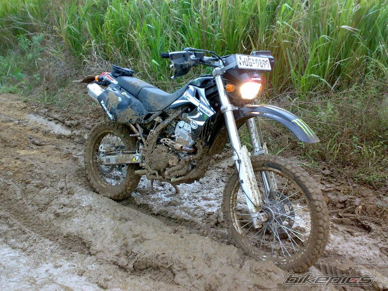 Photo 1424788