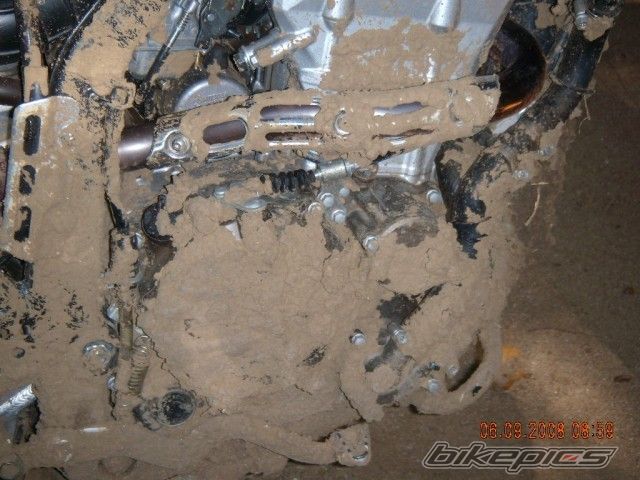 Photo 1424793