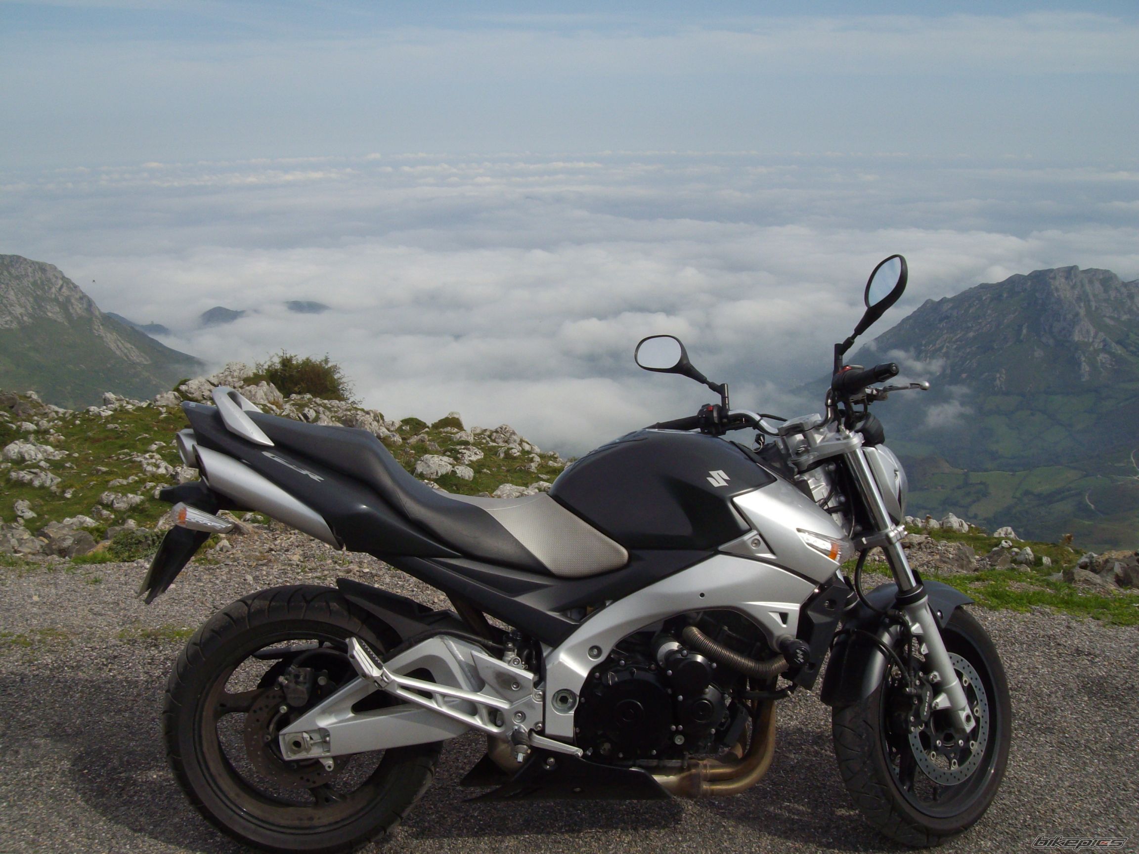 Photo 1424858