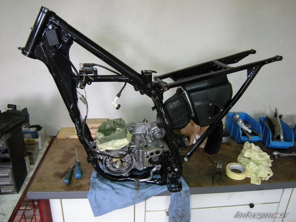 Photo 1424884