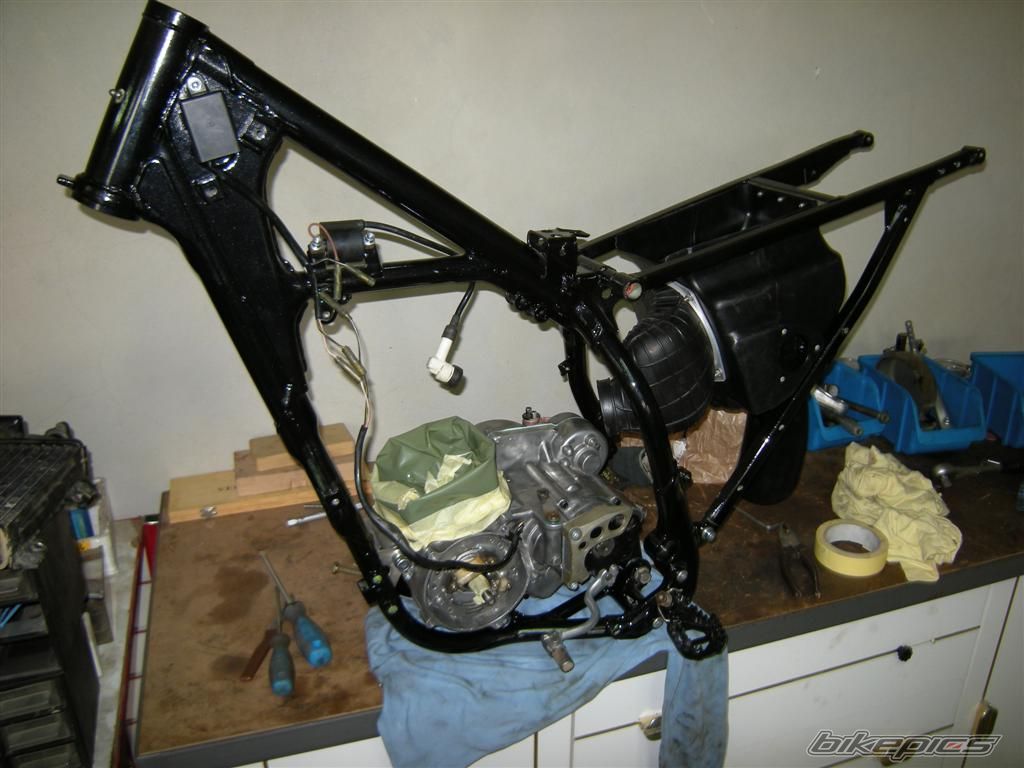 Photo 1424887