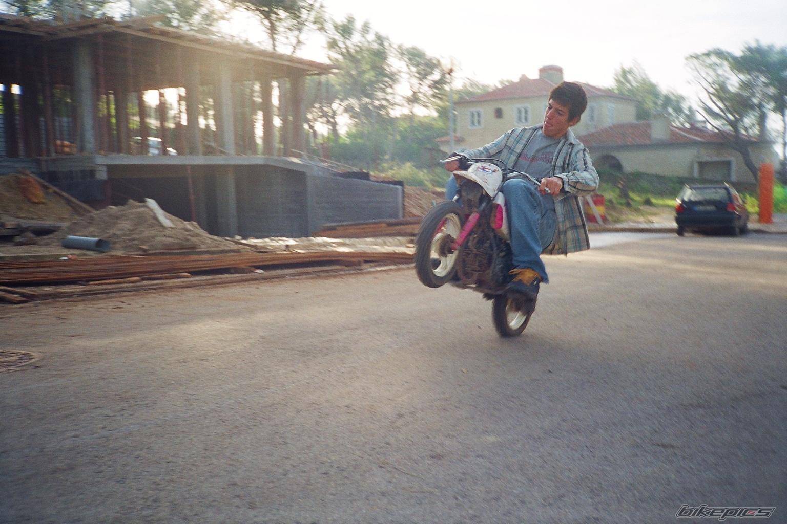Photo 142495