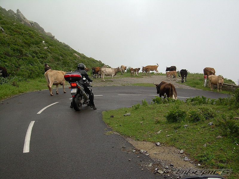 Photo 1424969