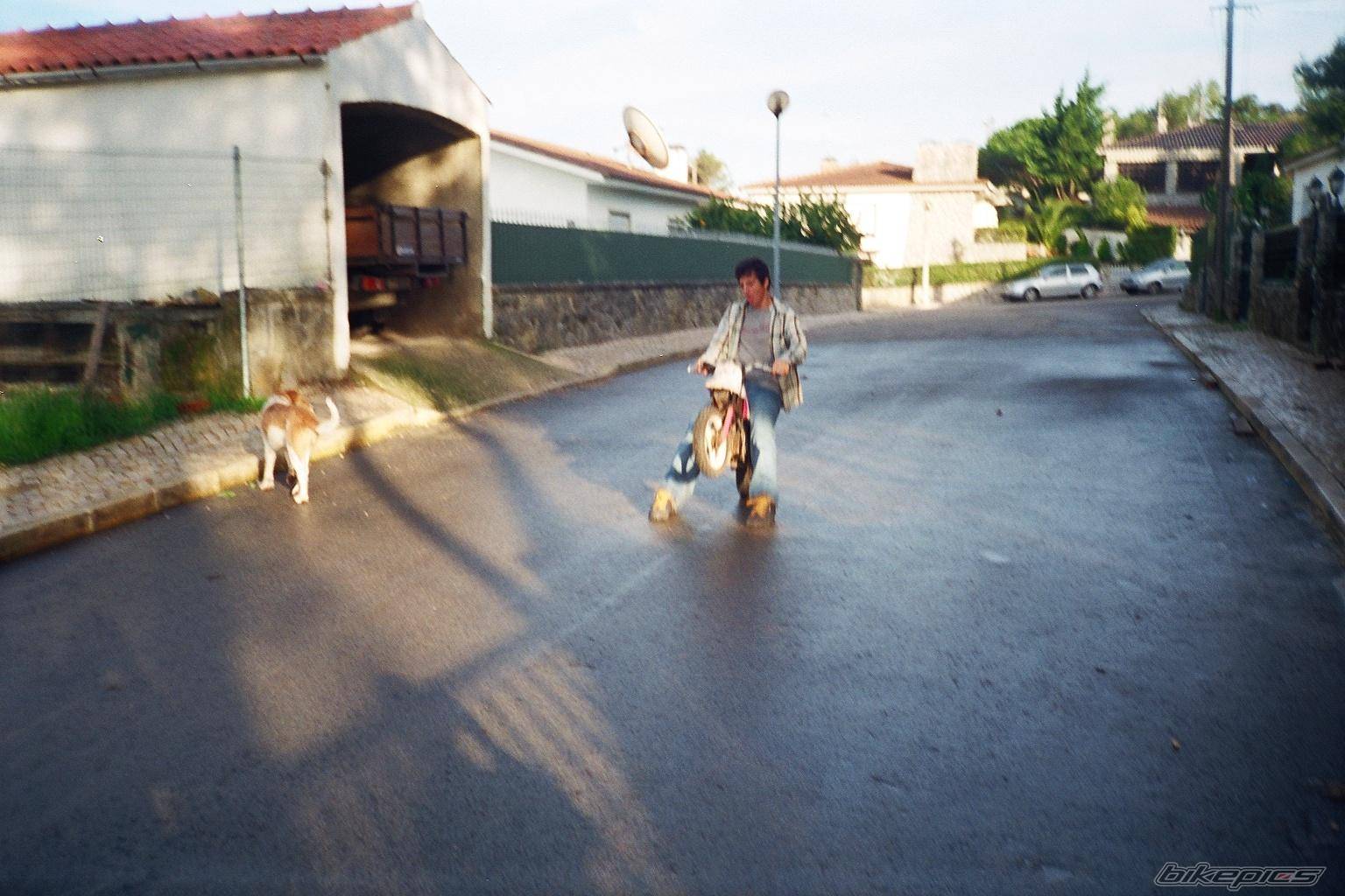 Photo 142497