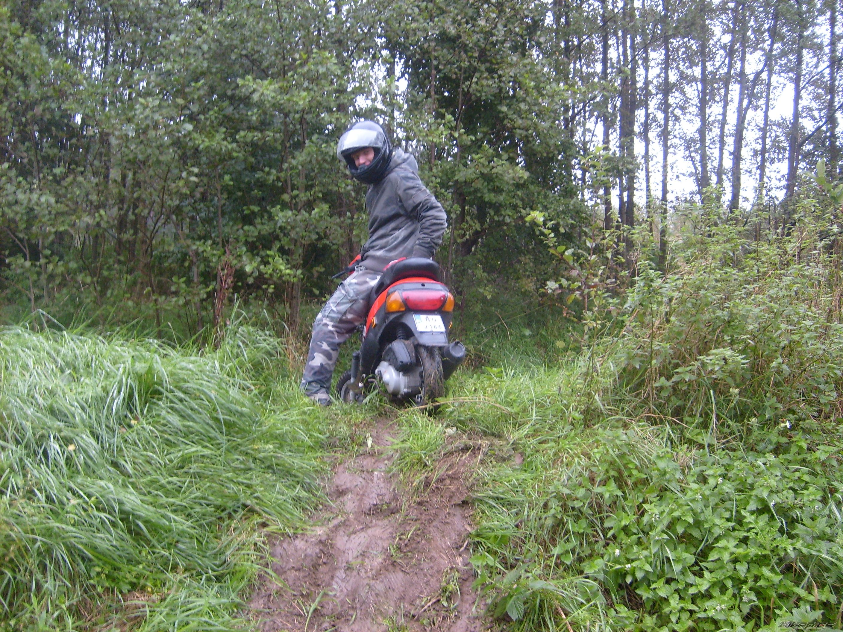 Photo 1425024