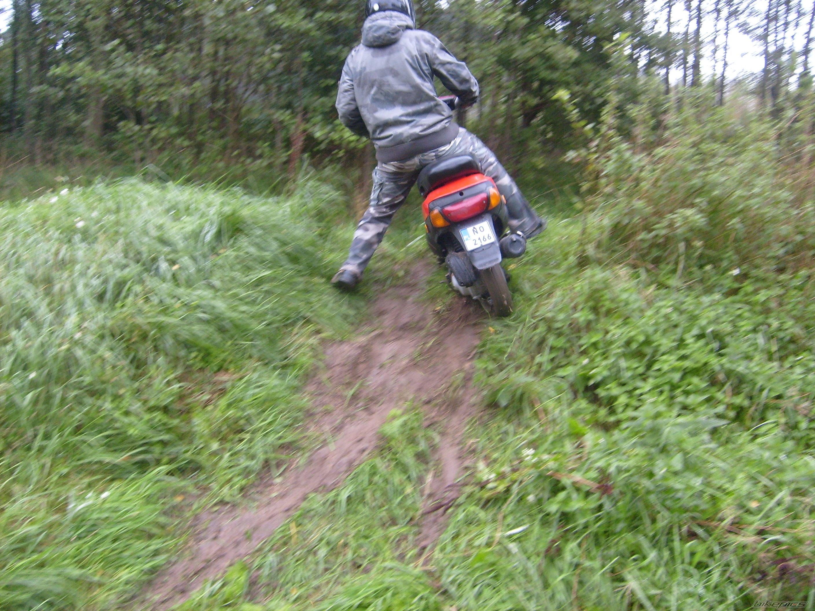 Photo 1425025