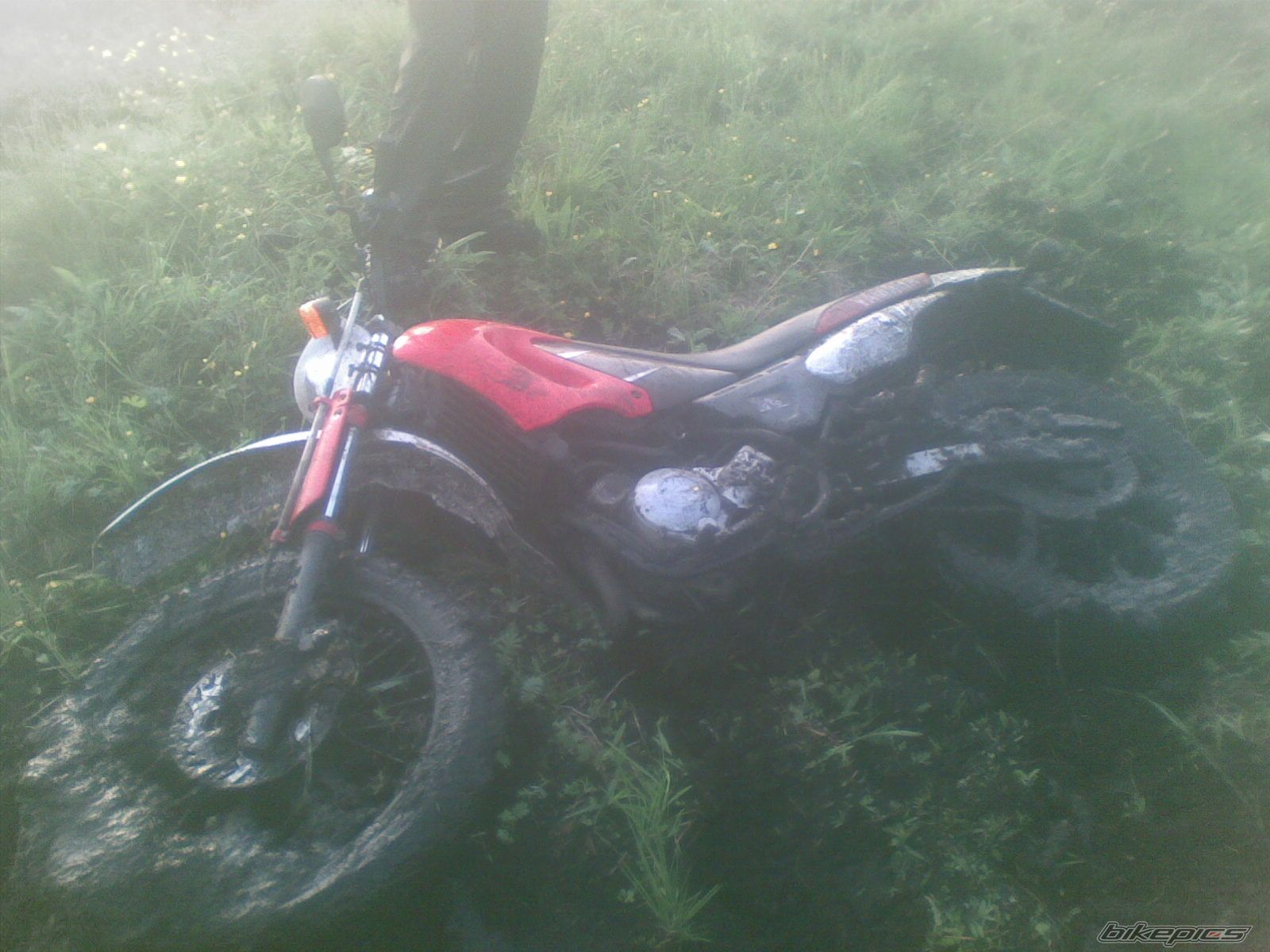 Bike Photo 1425028
