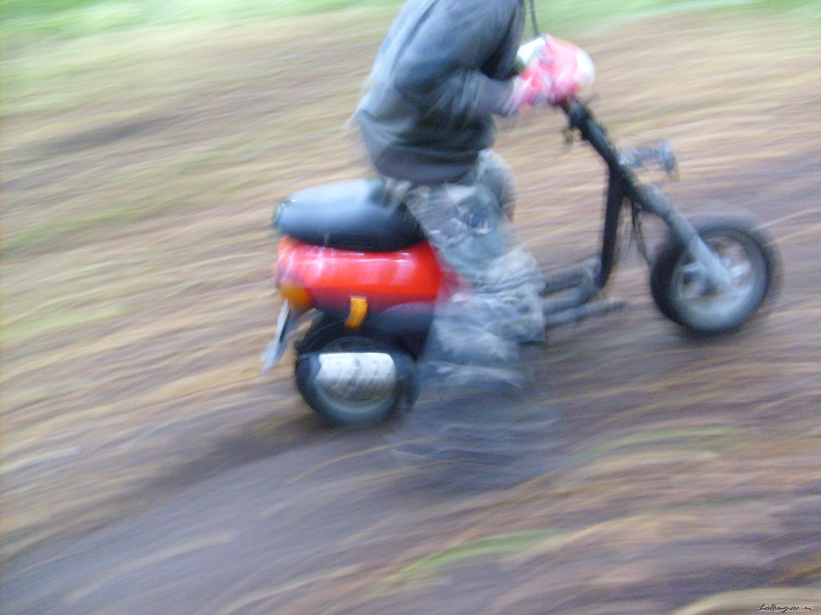Photo 1425046