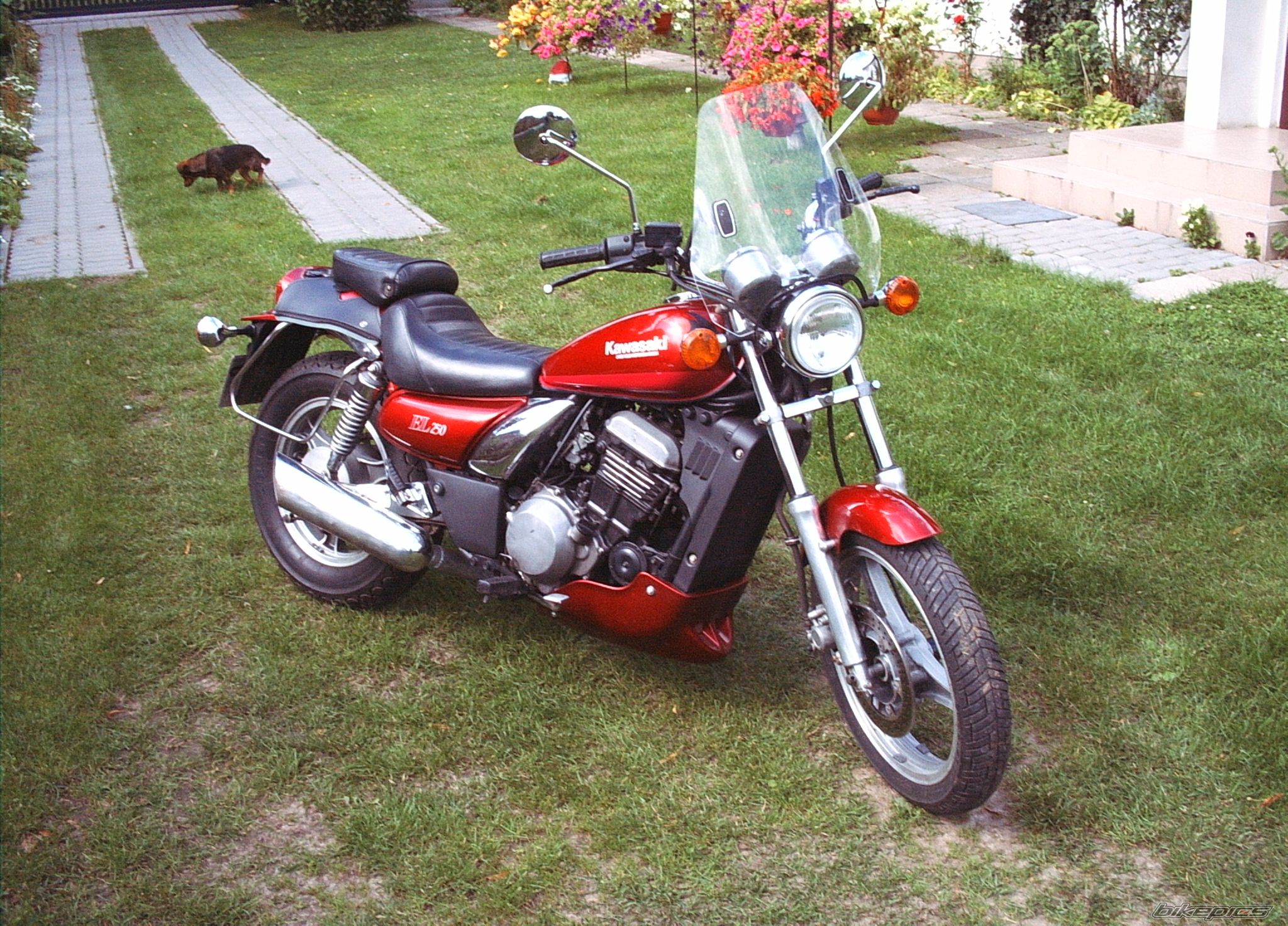 Photo 1425064