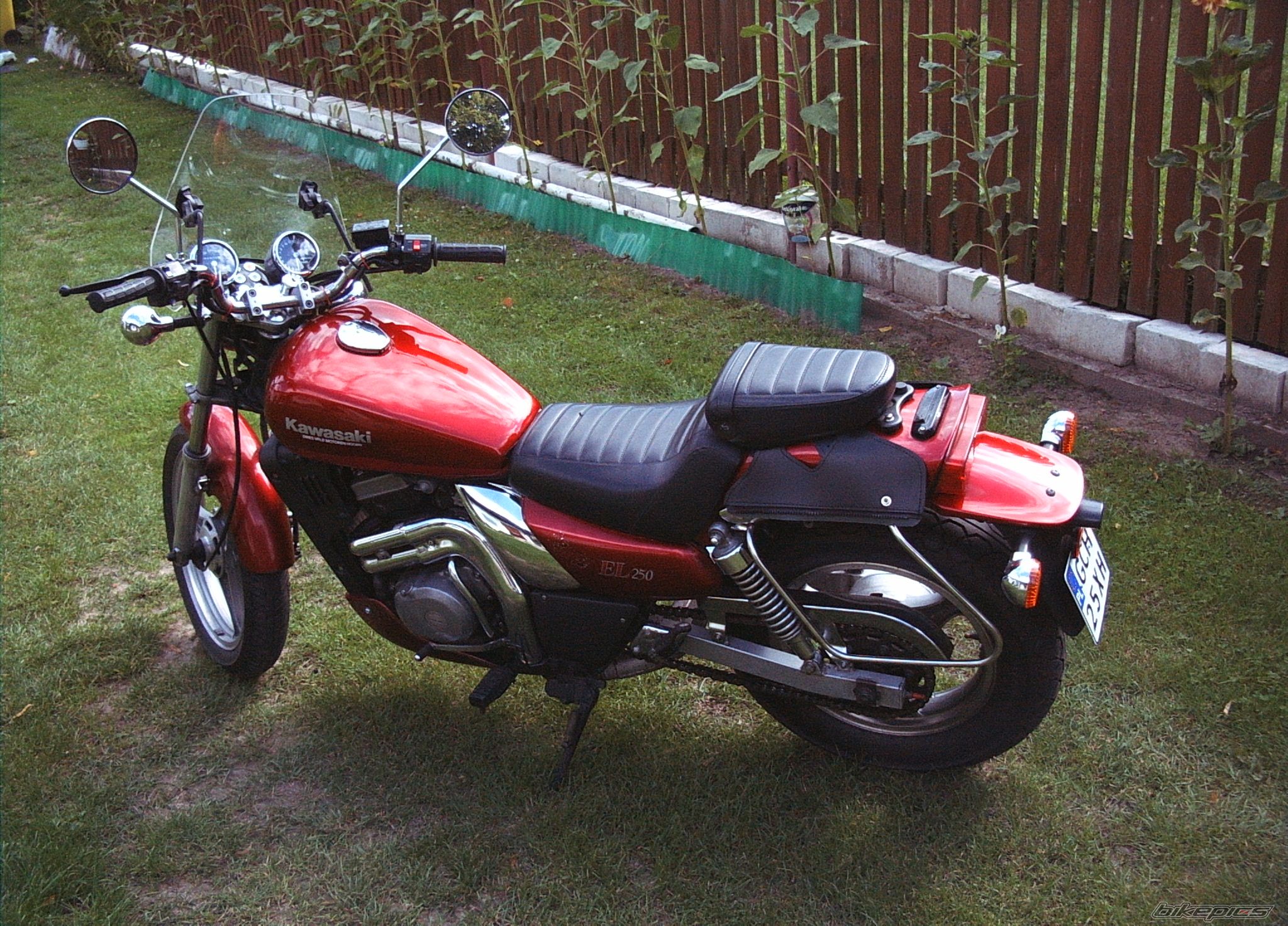 Photo 1425066