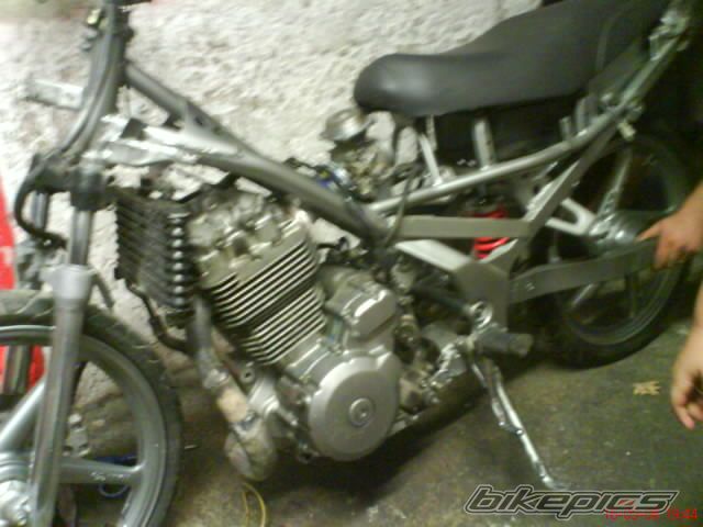 Photo 1425069