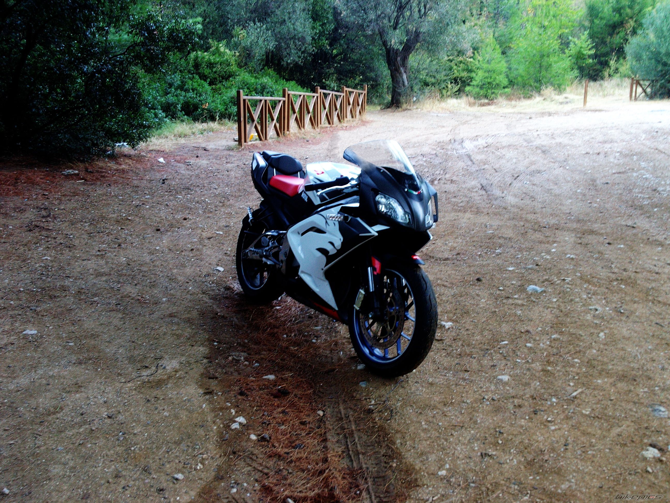 Photo 1425122