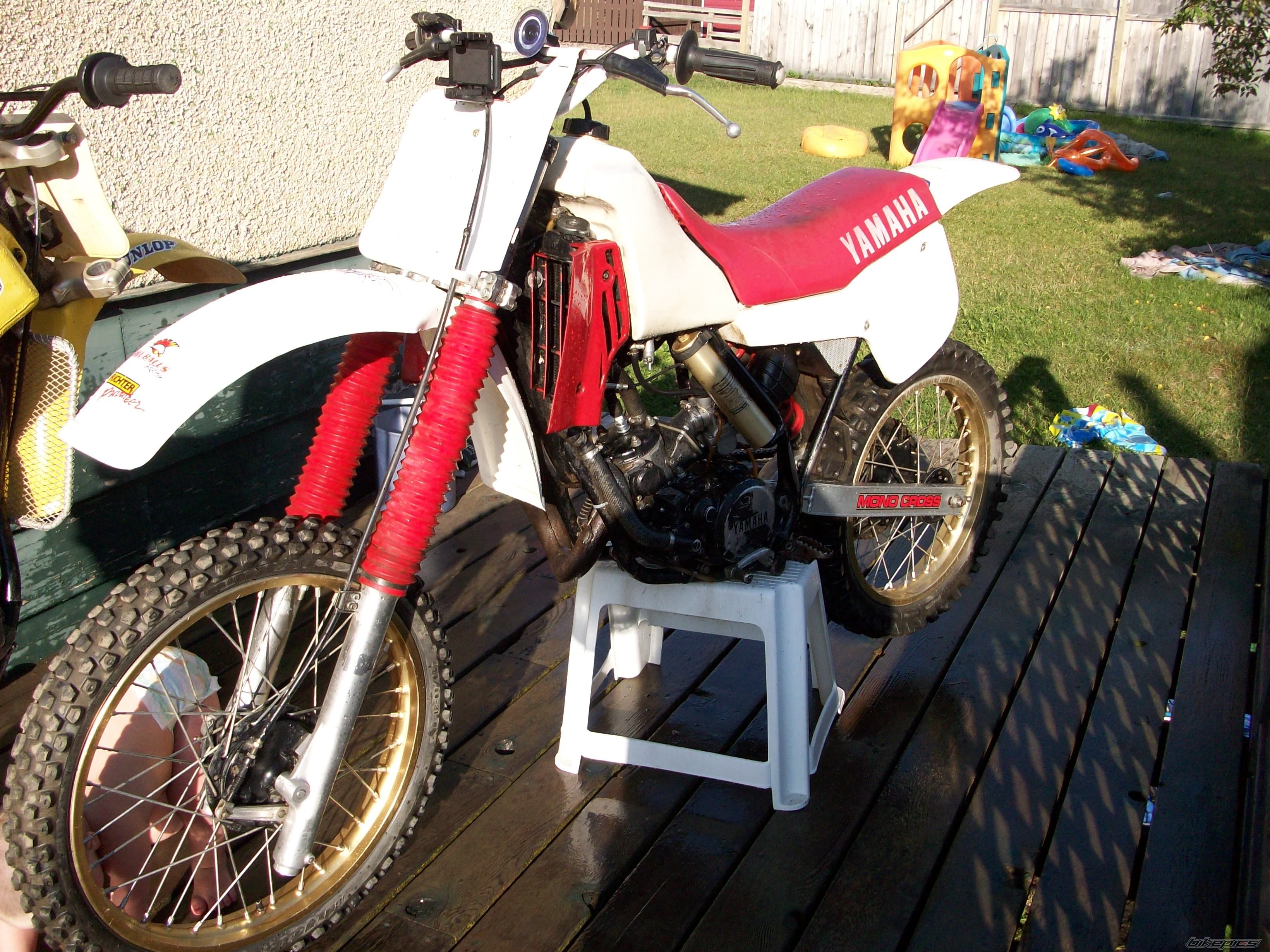 Photo 1425226